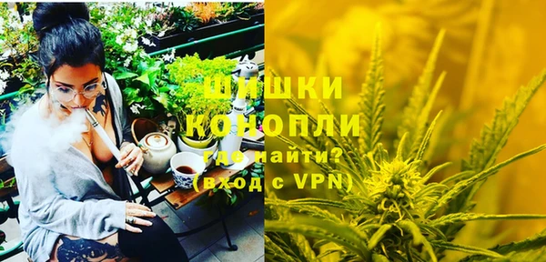 бошки Дмитриев